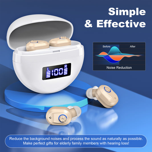 RKEPIE M607 Classic CIC Hearing Aid - Invisible Design & Crystal Clear Sound for Seniors